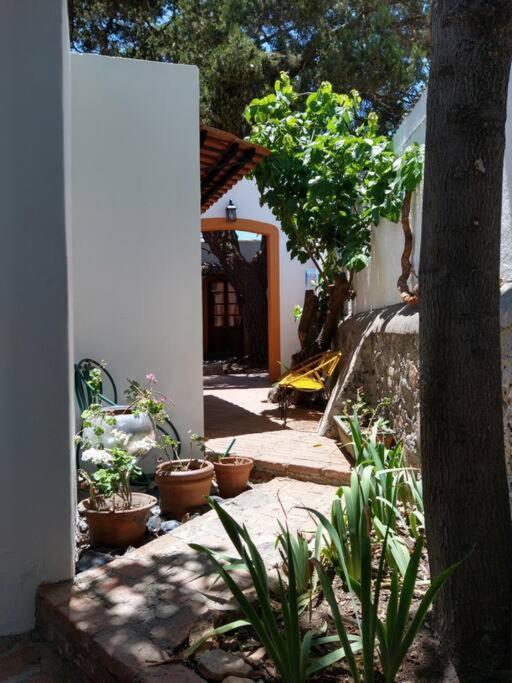 Original Y Comodo Loft En El Centro De Tulancingo Apartment Ngoại thất bức ảnh
